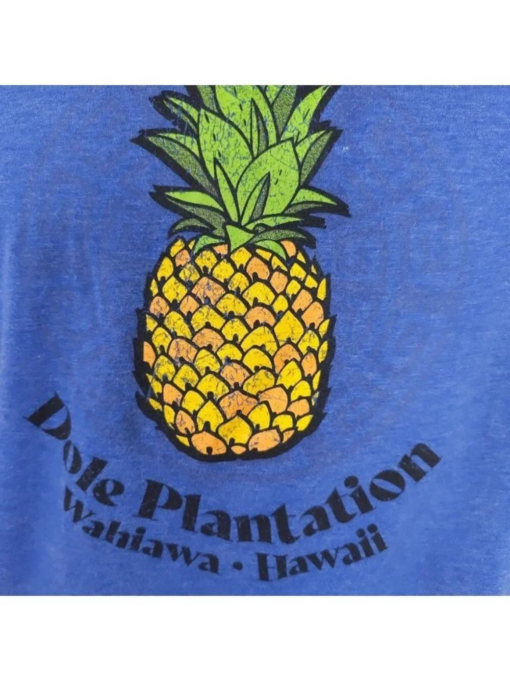 Dole Plantation T Shirt Mens Size Small Blue Wahiawa Hawaii Pineapple